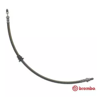 Flexible de frein BREMBO T 24 030