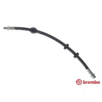 Flexible de frein BREMBO T 24 035