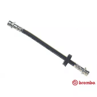 Flexible de frein BREMBO T 24 036