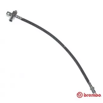 Flexible de frein BREMBO T 24 041