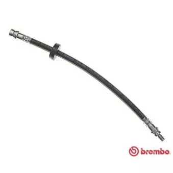 Flexible de frein BREMBO T 24 046