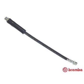 Flexible de frein BREMBO T 24 048