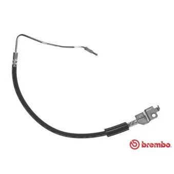 Flexible de frein BREMBO T 24 070