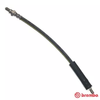 Flexible de frein BREMBO T 24 072