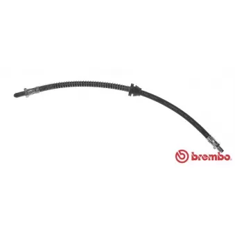 Flexible de frein BREMBO T 24 073