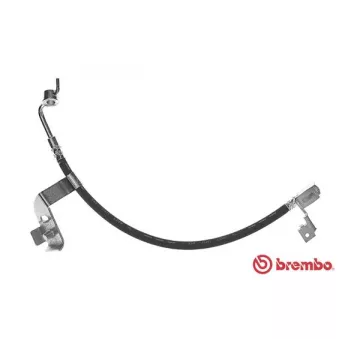 Flexible de frein BREMBO T 24 081