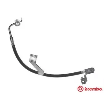 Flexible de frein BREMBO T 24 082