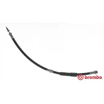 Flexible de frein BREMBO T 24 093