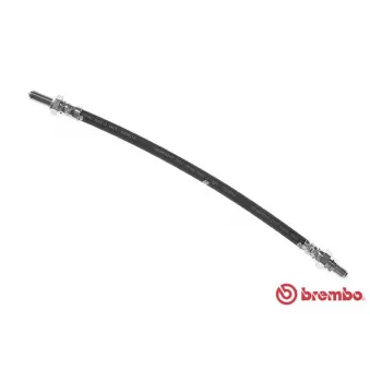 Flexible de frein BREMBO T 24 094