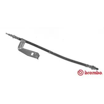 Flexible de frein BREMBO T 24 096