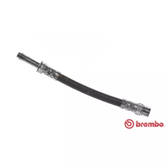 Flexible de frein BREMBO T 24 099