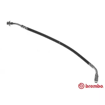 Flexible de frein BREMBO T 24 110