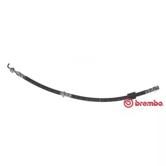 Flexible de frein BREMBO T 24 111