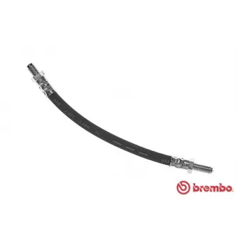 Flexible de frein BREMBO T 24 113