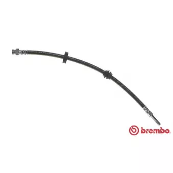 Flexible de frein BREMBO T 24 117