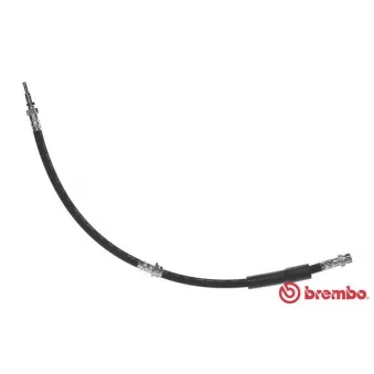 Flexible de frein BREMBO T 24 119