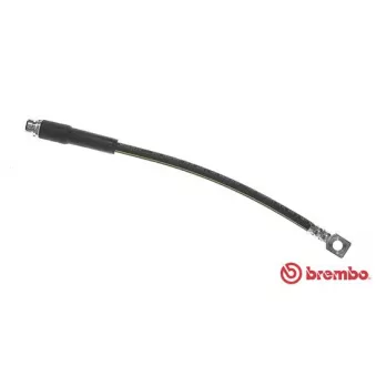 Flexible de frein BREMBO T 24 130