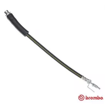 Flexible de frein BREMBO T 24 146