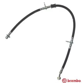 Flexible de frein BREMBO T 28 007