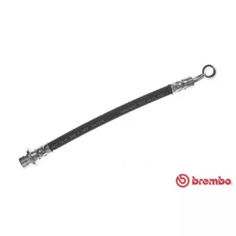 Flexible de frein BREMBO T 28 033