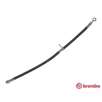 Flexible de frein BREMBO T 28 097