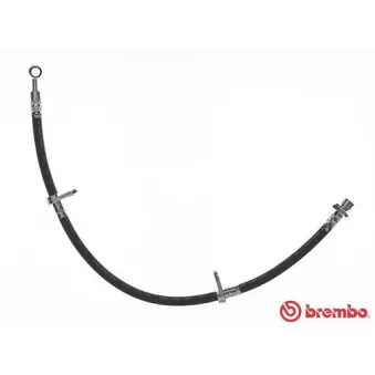 Flexible de frein BREMBO T 28 098