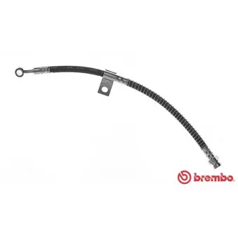 Flexible de frein BREMBO T 30 017