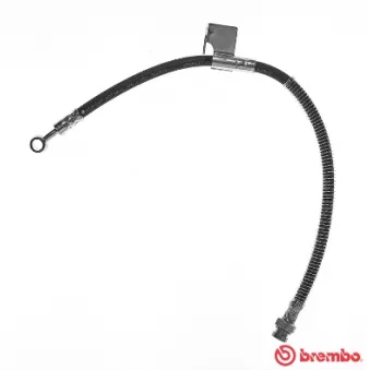 Flexible de frein BREMBO T 30 049