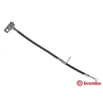 Flexible de frein BREMBO T 30 062