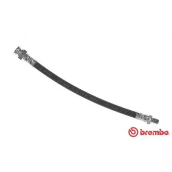 Flexible de frein BREMBO T 30 081