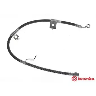 Flexible de frein BREMBO T 30 084
