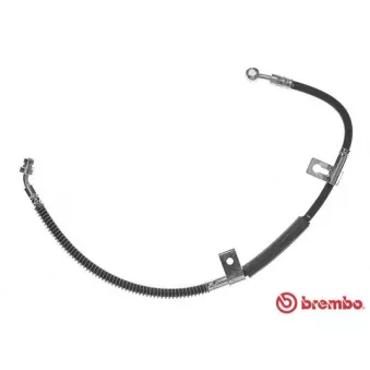 Flexible de frein BREMBO T 30 099