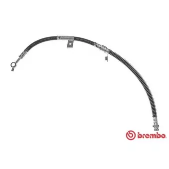 Flexible de frein BREMBO T 30 100