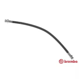 Flexible de frein BREMBO T 44 024