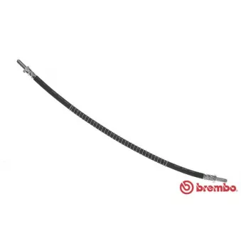 Flexible de frein BREMBO T 44 025