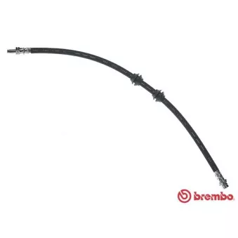 Flexible de frein BREMBO T 44 033