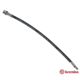 Flexible de frein BREMBO T 50 003