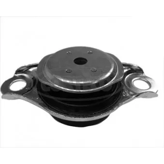Suspension, boîte automatique CORTECO 80001363