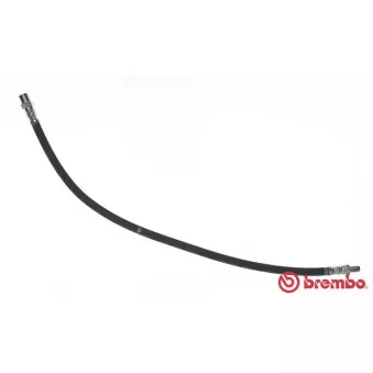 Flexible de frein BREMBO T 50 033