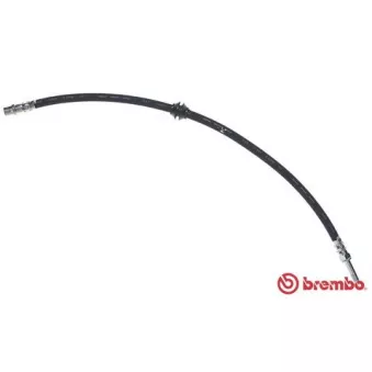 Flexible de frein BREMBO T 50 074
