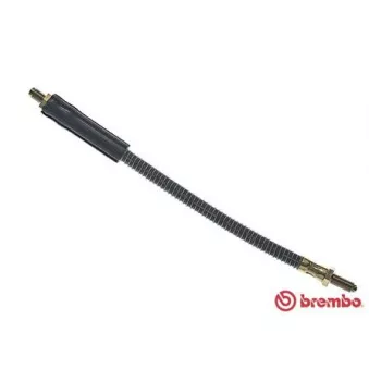 Flexible de frein BREMBO T 52 002
