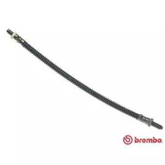 Flexible de frein BREMBO