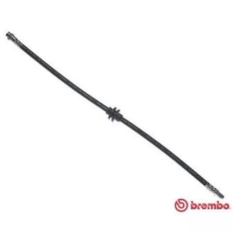 Flexible de frein BREMBO T 52 062