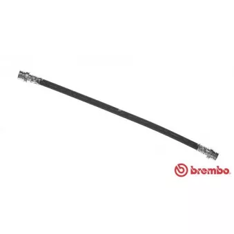 Flexible de frein BREMBO T 54 031
