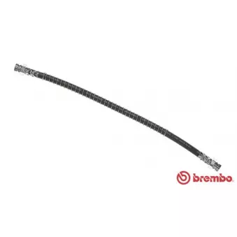 Flexible de frein BREMBO T 54 042