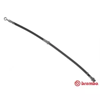 Flexible de frein BREMBO T 54 047