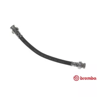 Flexible de frein BREMBO T 54 048
