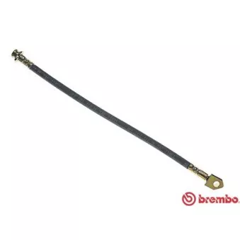Flexible de frein BREMBO T 56 075