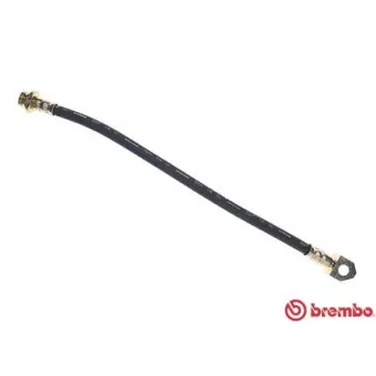 Flexible de frein BREMBO T 56 076