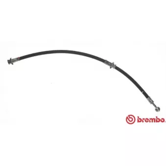 Flexible de frein BREMBO T 56 078